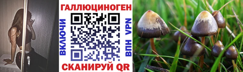 закладки  ОМГ ОМГ   Галлюциногенные грибы GOLDEN TEACHER  Тайга 