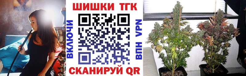где купить наркоту  Тайга  Бошки Шишки THC 21% 